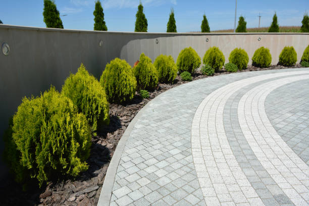 Best Driveway Resurfacing Pavers  in Spring Valley, NV